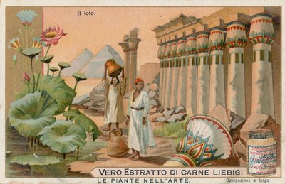 美術の中の植物、リービッヒ・カード、20世紀初頭（クロモ） 作： European School