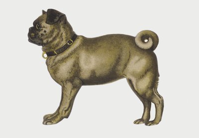 パグ犬の肖像（クロモリソ） 作： European School