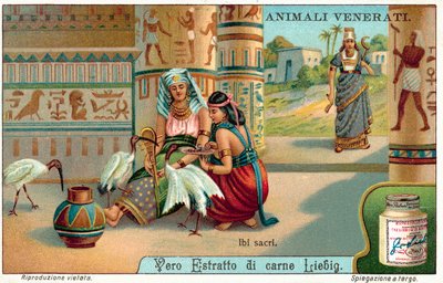 古代エジプトの聖なるトキ（クロモリトキ 作： European School