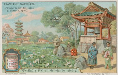 日本の日光の神聖な蓮の花の池 作： European School