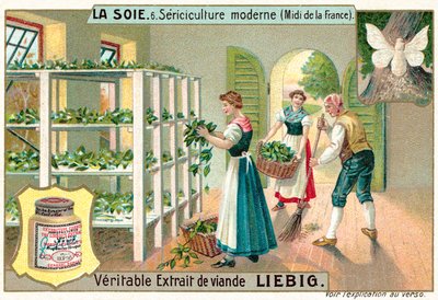 南フランスのシルク生産（クロモリト 作： European School