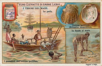 海の宝物、リービッヒ・カード、20世紀初頭（クロモ） 作： ヨーロピアンスクール