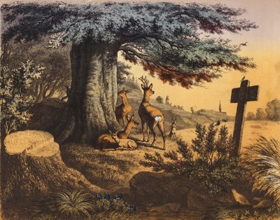 日陰のブナの下にはリス、ローバック、ドーズ、フォーン（カラーリトグラフ） 作： European School