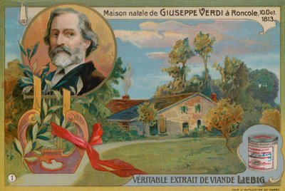 ロンコーレのヴェルディス生家 作： European School