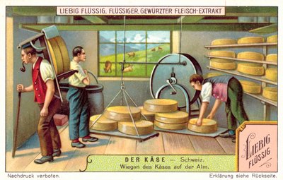 アルプスの酪農場でスイスチーズを量る（クロモリト 作： European School