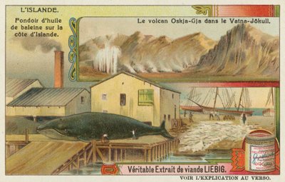鯨油工場とヴァトナ氷河の火山 作： European School