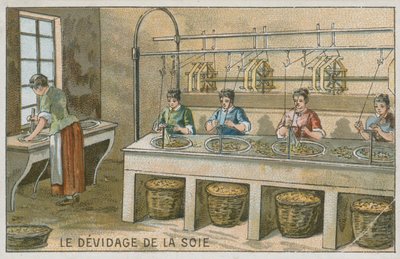 リールにシルクフィラメントを巻き付ける 作： European School
