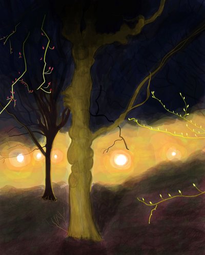 5:20 A.MProspect Park、ブルックリン（デジタルアート） 作： エヴァン・スクラー