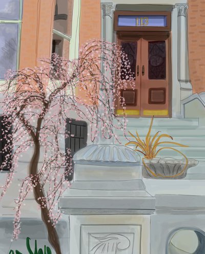 咲き誇る桜の木、ブルックリン、2017年（iPadでアップルペンシルを使って手描きしたもの） 作： Evan Sklar