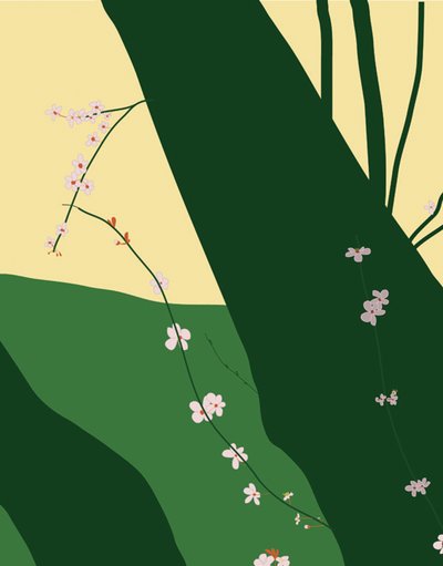 桜、2015年（iPadでアップルペンシルを使って手描きしたもの） 作： エヴァン・スクラー