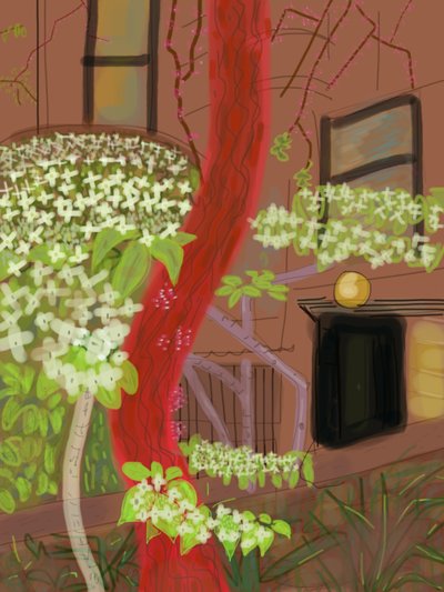 花咲くハナミズキの木、2015年（iPadでアップルペンシルを使って手描きしたもの） 作： エヴァン・スクラー