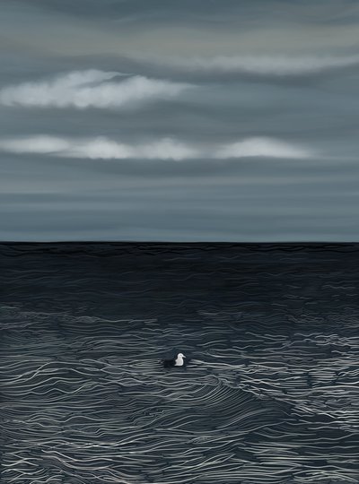 水面に浮かぶカモメと嵐の空（デジタルアート） 作： エヴァン・スクラー