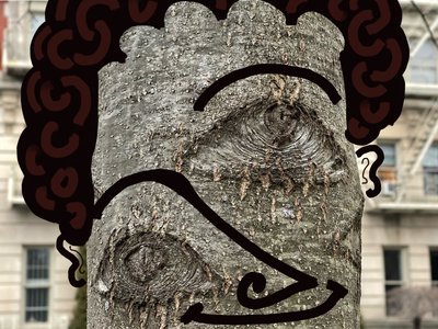 写真とドローイングを使った木の顔のイラストレーション。 作： エヴァン・スクラー