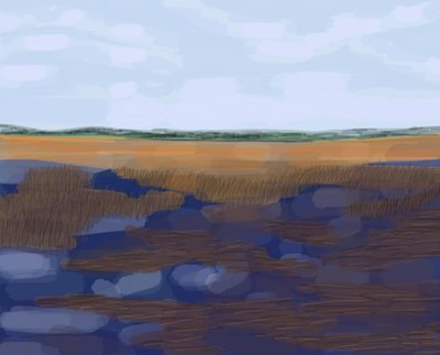 ロー・カントリー、2016年（iPadでApple pencilを使って手描きしたもの） 作： エヴァン・スクラー