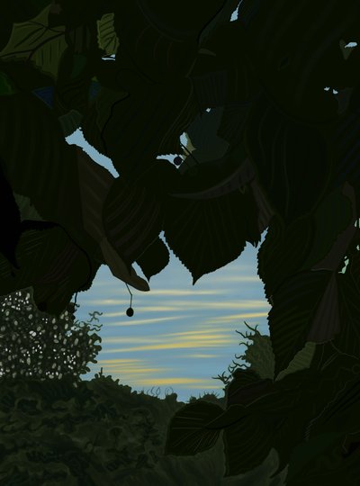  作： Evan Sklar