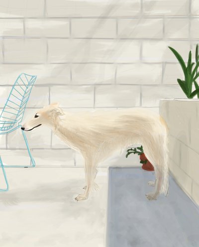 Penny On The Back Porch 2017（iPadでApple pencilを使って手描きしたもの） 作： エヴァン・スクラー