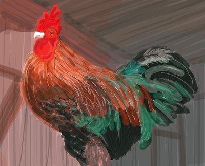 Rooster In Barn, 2018（iPadでアップルペンシルを使って手描きした。） 作： エヴァン・スクラー