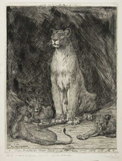 座っている雌ライオンと3人のカブ、1888 作： Evert van Muyden