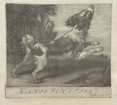 ジャンピングドッグ Canis Venaticus (オブジェクトのタイトル) 作： Evert van Sweinen