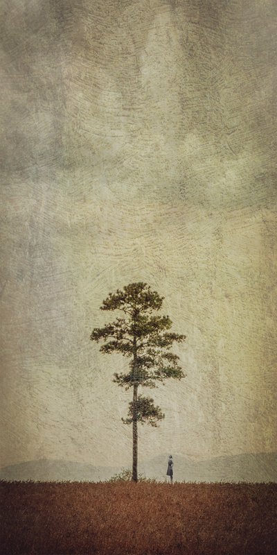 一本の木が立つ野原 作： 