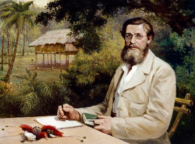 Alfred Russel Wallace (óleo sobre tela) 作： Evstafieff Evstafieff