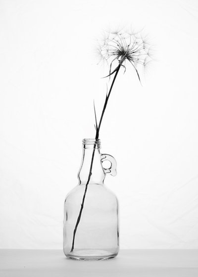  作： Eyal Amer
