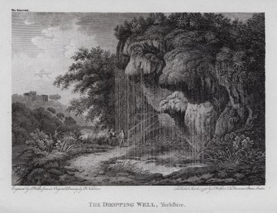 The Dropping Well, Yorkshire (Englanding) 作： F. (after) Nicholson