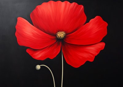 赤いハイビスカスの花、花の壁の装飾、キャンバスアートプリントオンライン 作： F. Abderrahim