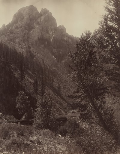 無題、c。 1884年。 作： F. Jay Haynes