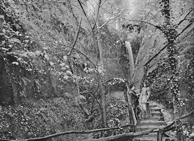 シャンクリン中国、c1896 作： F. N. Broderick