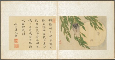 その他の主題のアルバム、リーフ6、1600年代。 作： Fan Qi