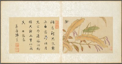 その他の主題のアルバム、リーフ7、1600年代。 作： Fan Qi