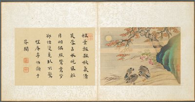 その他の主題のアルバム、葉8、1600年代。 作： Fan Qi