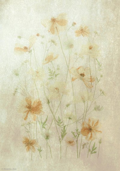  作： Fangping Zhou