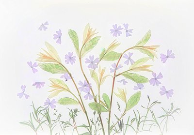  作： Fangping Zhou