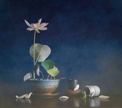  作： Fangping Zhou