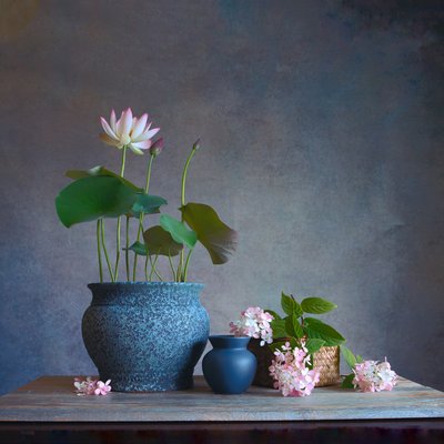 穏やかな蓮の静物画 作： Fangping Zhou