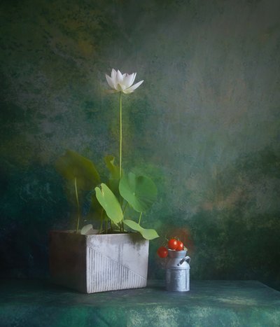 穏やかな白蓮の静物画 作： Fangping Zhou