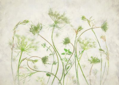  作： Fangping Zhou