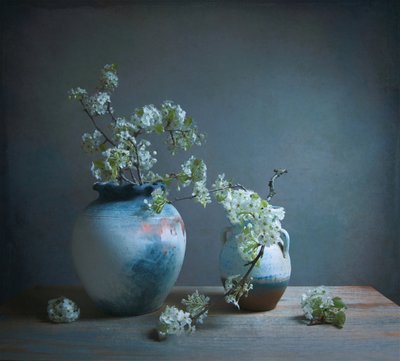  作： Fangping Zhou