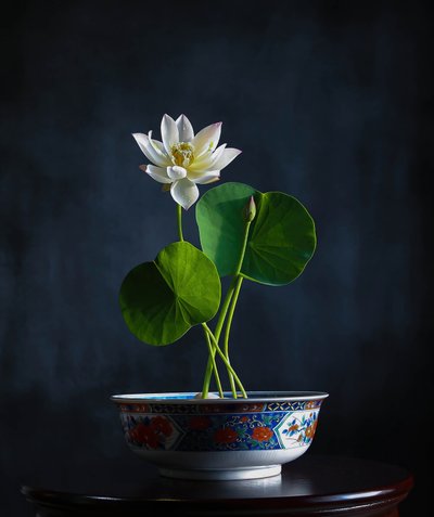  作： Fangping Zhou