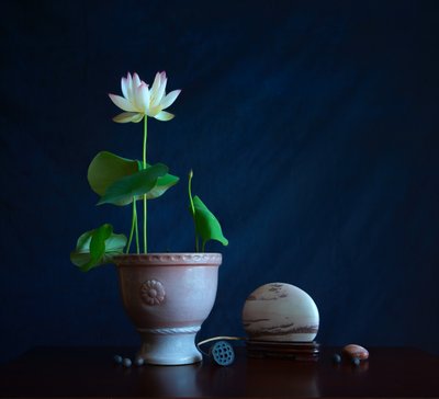 禅の蓮の静物画 作： Fangping Zhou