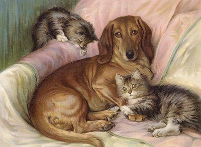 ソファに座る犬と2匹の猫の遊び相手（カラーリトグラフ 作： Fannie Moody