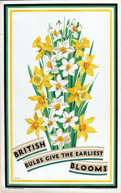 英国の球根は最も早く花を咲かせる』（カラーリトグラフ）（「家庭菜園のための英国の球根」シリーズより 作： Fawkes Fawkes