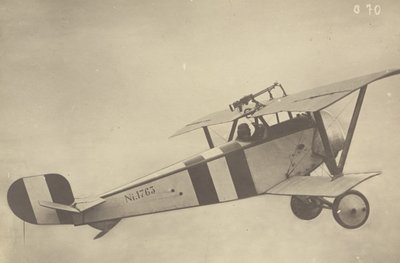 [空飛ぶニューポール17（飛行機）の横顔]。 作： Fedele Azari