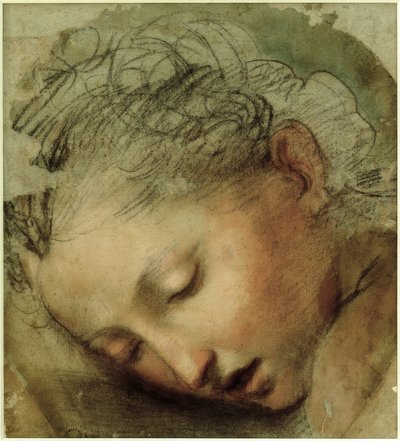 女性の頭、1568 作： Federico Barocci