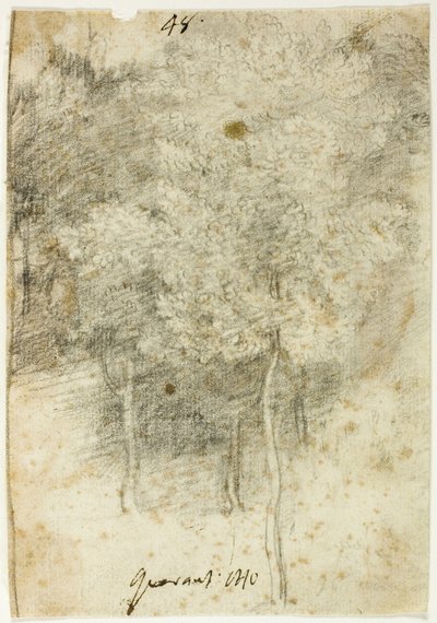 木立の木立 作： Federico Barocci