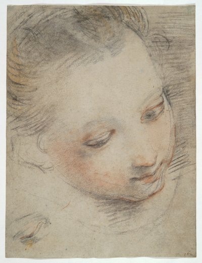 女の子の頭、ウフィツィ美術館のマドンナ デル ポポロの祭壇画の人物の習作 作： Federico Barocci