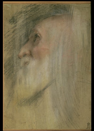 横顔の老人の頭、c.1575-9（パステル、黒チョーク、楽天） 作： Federico Barocci