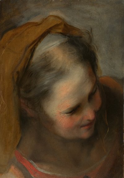 右下を向いている老婆の頭 作： Federico Barocci
